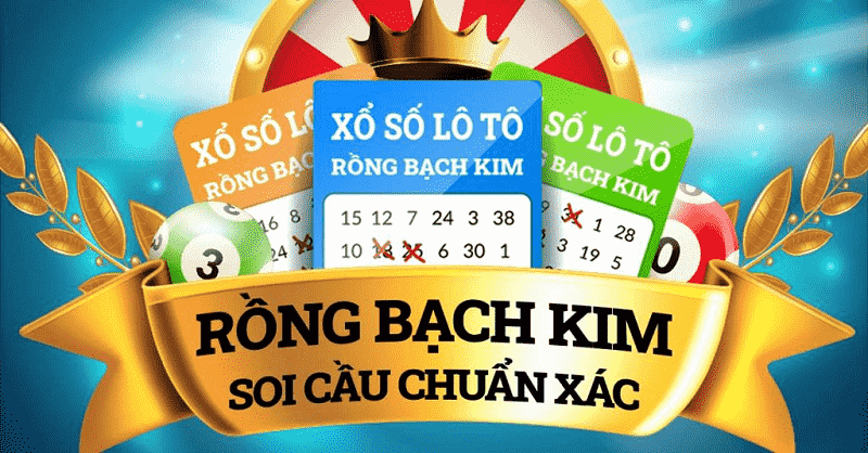 Chi tiết về rồng bạch kim lô kép