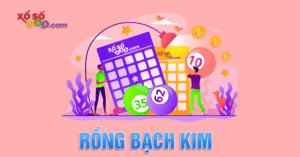 Nội Dung Chính Của Soi Cầu Lô Kép Rồng Bạch Kim 888
