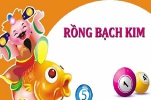 Cách soi bạch thủ lô rồng bạch kim mới nhất 2026 cho anh em