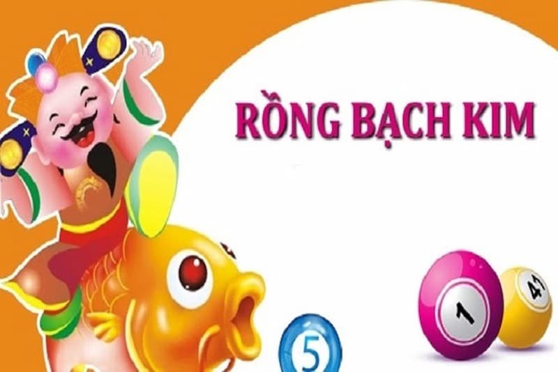 Soi bạch thủ lô rồng bạch kim như thế nào cho chuẩn xác