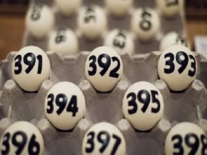 Tổng hợp các cặp lô hay đi cùng nhau rồng bạch kim