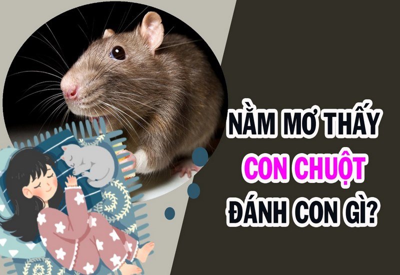 Nằm mơ giết chuột là số mấy