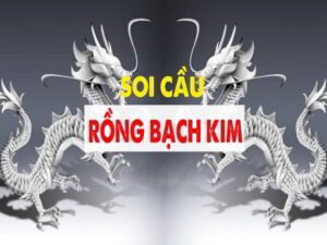 Soi cầu miền bắc rồng bạch kim 888 có gì đáng quan tâm?