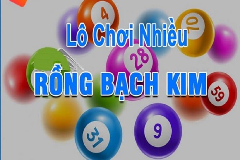 Bí quyết khi soi cầu miền bắc rồng bạch kim ngày hôm nay