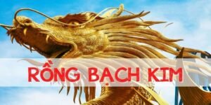 Rồng Bạch Kim Là Gì? Thống kê xsmb rồng bạch kim chuẩn xác nhất