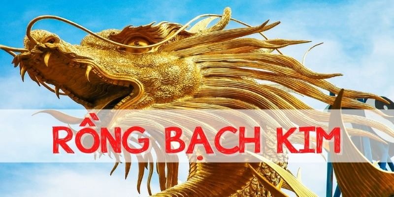Các bước để xem thống kê xsmb rồng bạch kim 