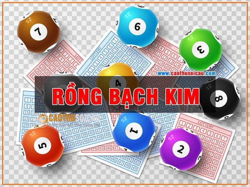 Bí kíp giúp soi cầu rồng bạch kim hiệu quả nhất