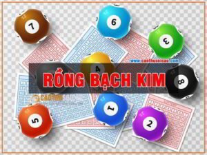 Xổ số miền bắc rồng bạch kim hôm nay có gì đáng quan tâm?