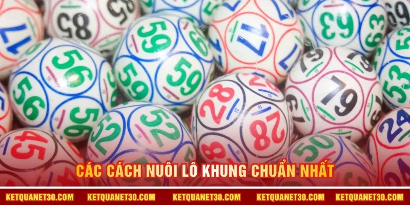 Các cách nuôi lô khung chuẩn nhất