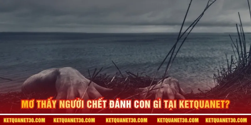 Mơ thấy người chết đánh con gì tại KETQUANET? 