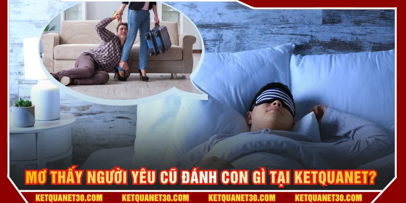 Mơ thấy người yêu cũ đánh con gì tại KETQUANET? 