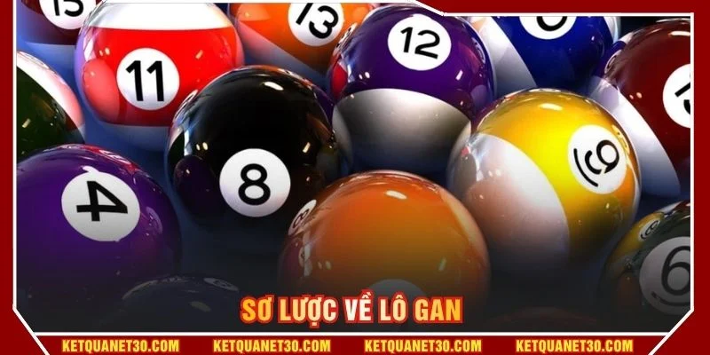 Sơ lược về lô gan 
