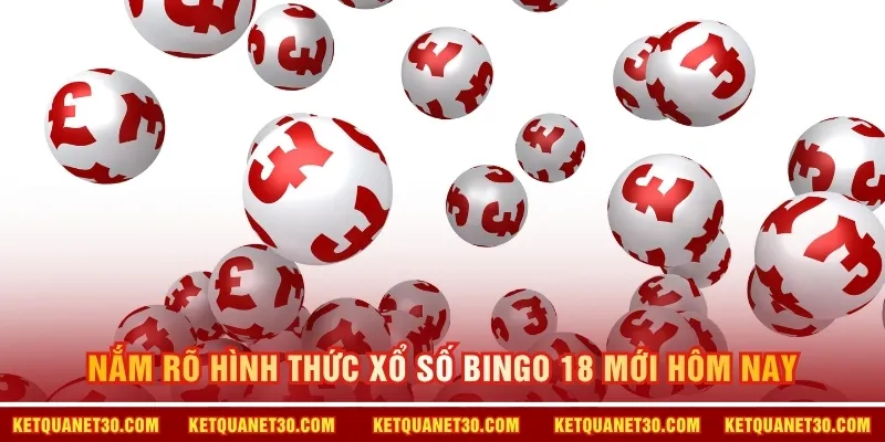 Phân loại hình thức chơi Bingo 18 độc đáo